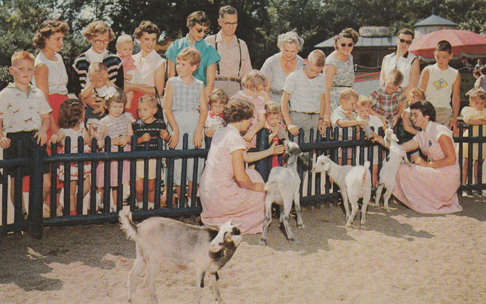 Belle Isle Childrens Zoo - Vintage Postcard